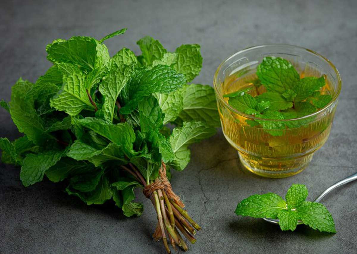 خواص معجزه‌آسا نعنا و کاربردهای بی نظیر آن