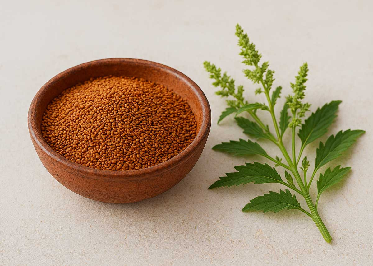 خاکشیر و فواید آن، بهترین نوشیدنی تابستانی برای سلامت بدن